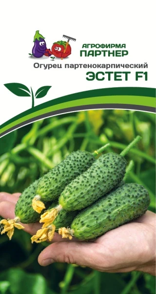 Огурец партенокарпический Эстет F1 (5 шт.)