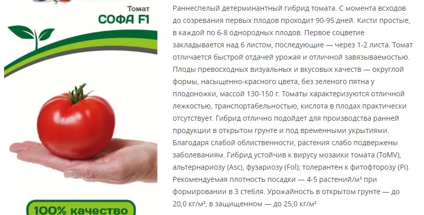 Томат Софа F1 (1 упаковка - 0,05 гр.)