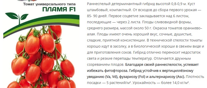 Томат Пламя F1 ( 1 упаковка -10шт.)