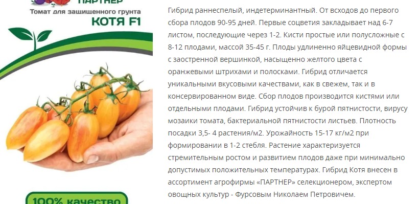Томат Котя F1 ( 1 упаковка - 10 шт)