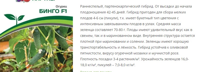Огурец партенокарпический Бинго F1 (1 упаковка - 5 шт.)