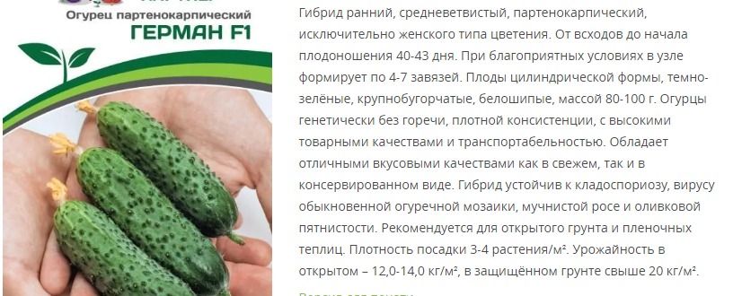 Огурец партенокарпический Герман F1 (1 упаковка - 5 шт)