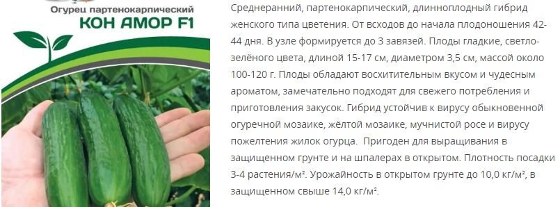 Огурец партенокарпический Кон Амор F1 (1 упаковка - 5 шт.)