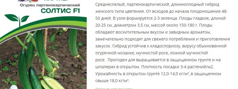 Огурец партенокарпический Солтис F1 (1 упаковка - 5 шт)