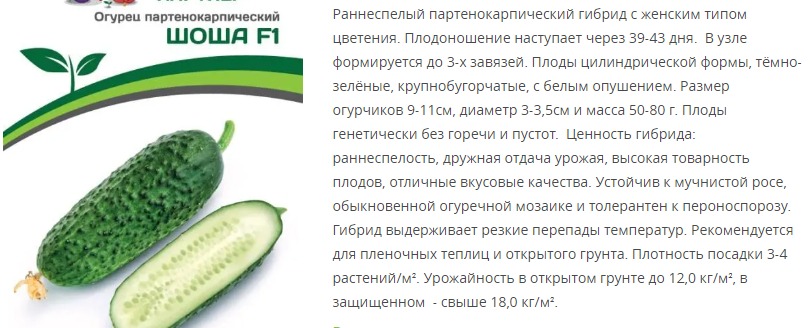 Огурец партенокарпический Шоша F1 ® (1 упаковка - 5 шт)