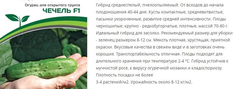 Огурец пчелоопыляемый  Чечель F1 ( 1 упаковка -0,05 гр.)