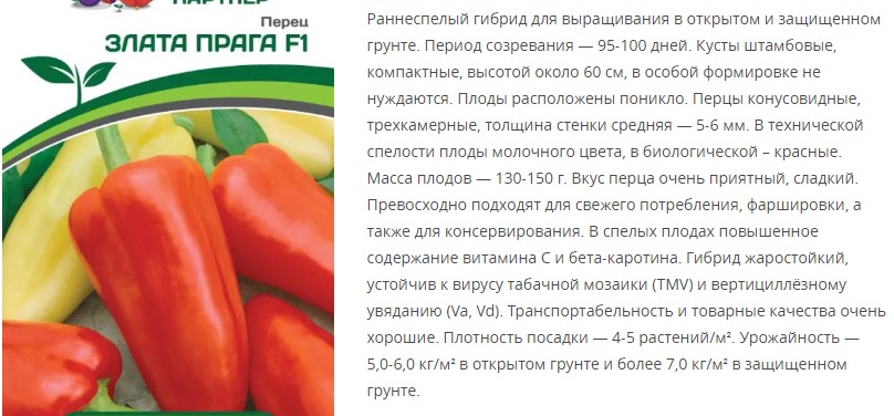 Перец сладкий Злата  Прага F1 ( 1 упаковка -10 шт.)