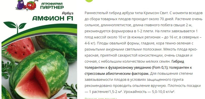 Арбуз  Амфион F1 ( 1 упаковка -5 шт.)