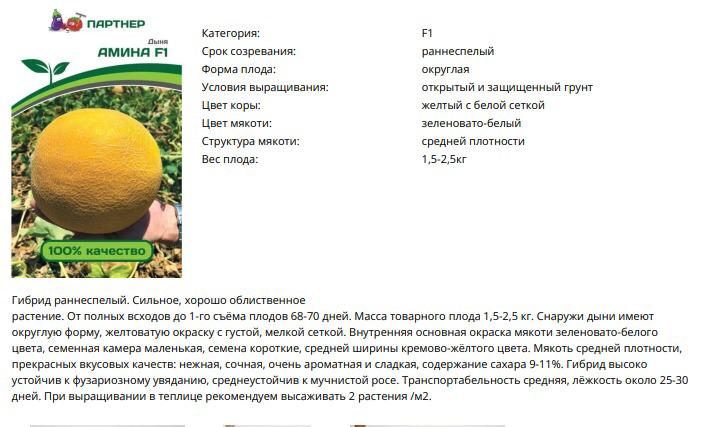 Дыня Амина F1 (1 упаковка - 5 шт.)
