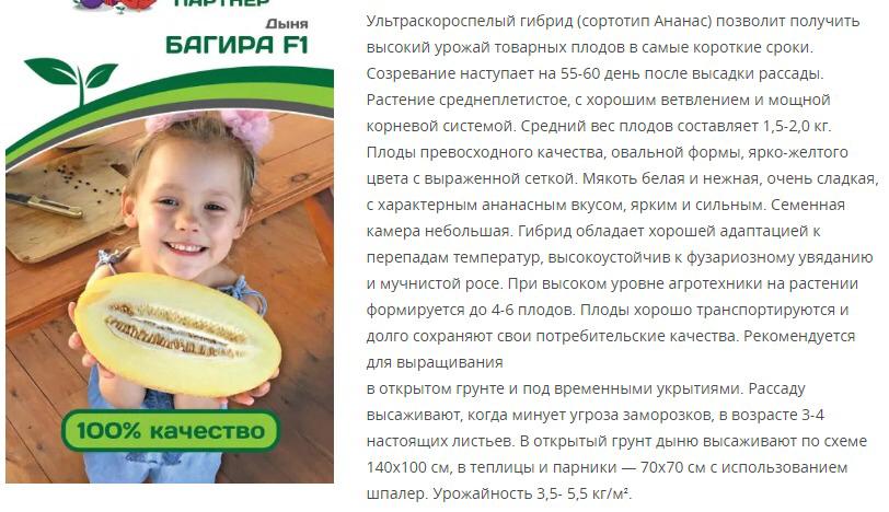Дыня Багира F1 (1 упаковка - 5 шт.)
