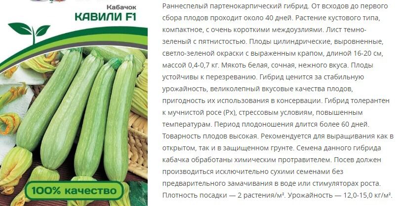 Кабачок Кавили F1 (1 упаковка - 5 шт.)