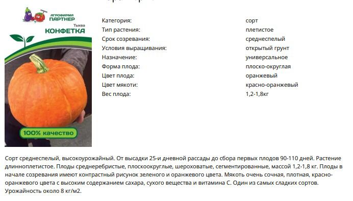 Тыква Конфетка (1 упаковка - 5 шт.)