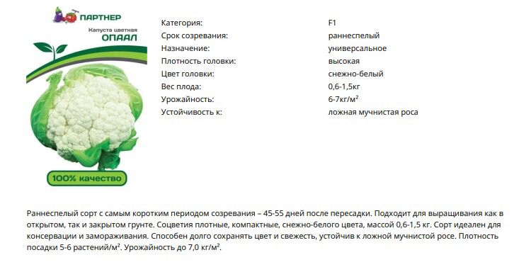 Капуста цветная Опаал (1 упаковка - 10 шт.)