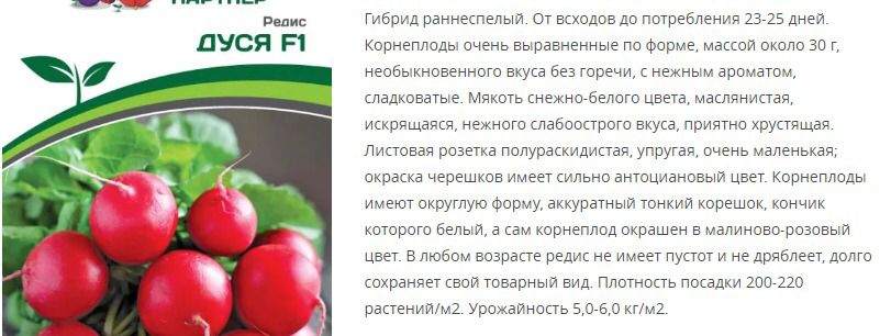 Редис Дуся F1 (1 упаковка - 1 гр.)