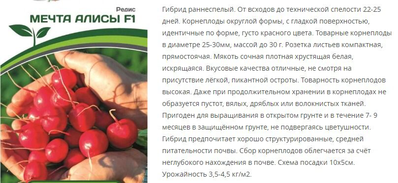 Редис Мечта Алисы F1 (1 упаковка - 1 гр.)