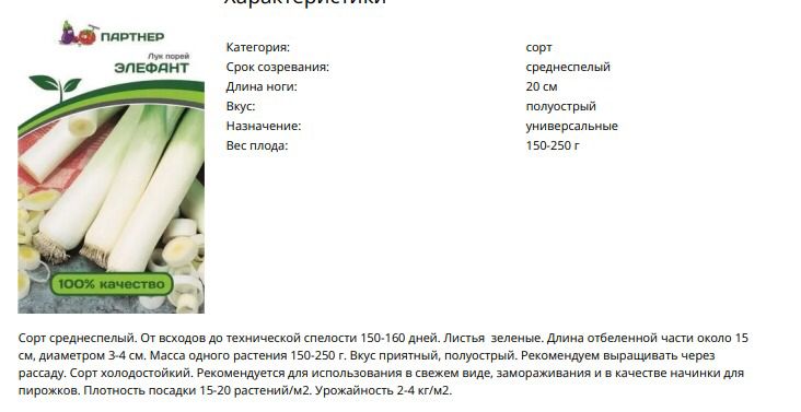 Лук порей Элефант (1 упаковка - 0,5 гр.)