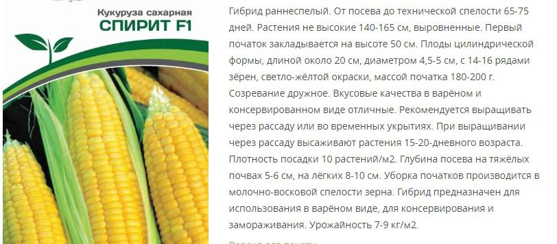 Кукуруза Спирит F1 (1 упаковка - 3 гр.)
