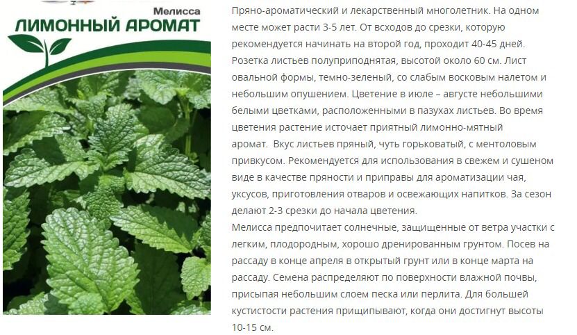 Мелисса Лимонный Аромат (1 упаковка - 0,2 гр.)