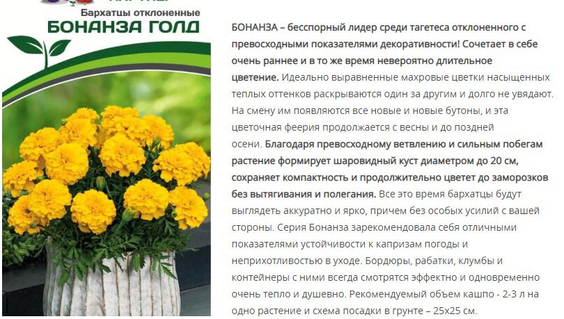 Бархатцы отклоненные Бонанза  Голд  ( 1 упаковка-10 шт.)