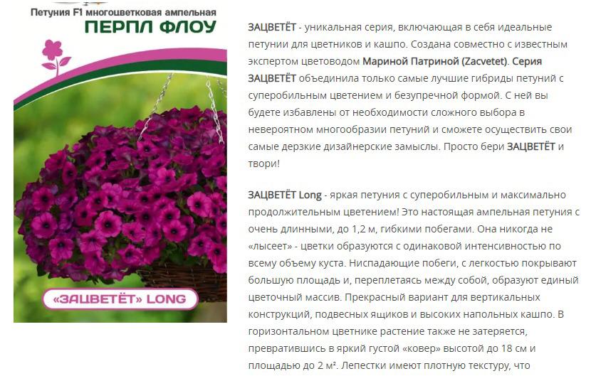 Петуния "Зацветёт" Long Перпл Флоу F1 многоцветковая ампельная