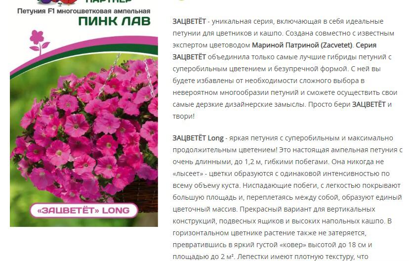 Петуния "Зацветёт" Long Пинк Лав F1 многоцветковая ампельная (1 упаковка - 5 шт.)