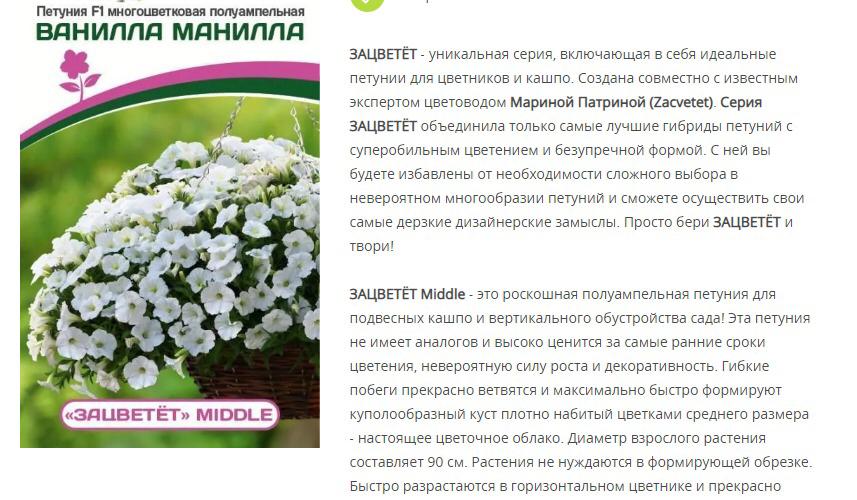 Петуния "Зацветёт" Middl Ванилла Манилла F1 полуампельная (1 упаковка - 5 шт.)