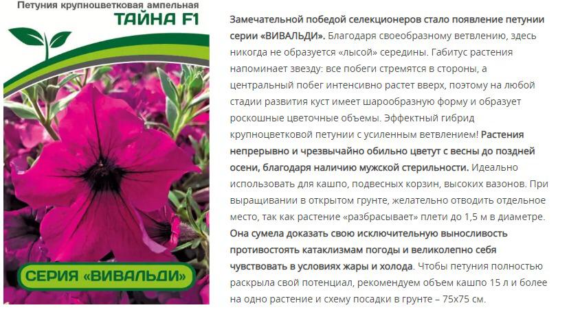 Петуния "Вивальди" Тайна F1 ампелельная пурпурная (1 упаковка - 5 шт.)