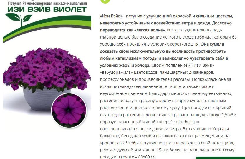 Петуния "Изи Вэйв" Виолет F1 каскадно-ампельная (1 упаковка - 5 шт.)