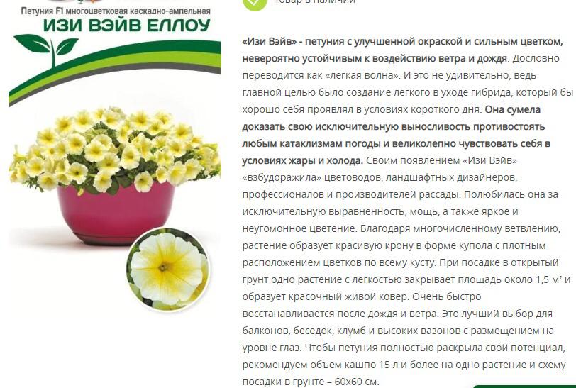 Петуния "Изи Вэйв" Еллоу F1 каскадно-ампельная (1 упаковка - 5 шт.)