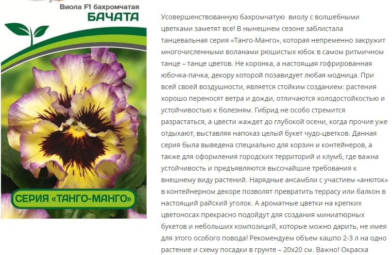Виола бахромчатая "Танго-Манго" Бачата F1 (1 упаковка - 10шт.)