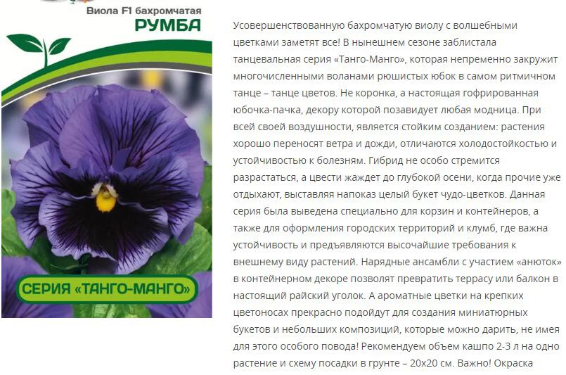 Виола бахромчатая "Танго-Манго" Румба F1 (1 упаковка - 10 шт.)