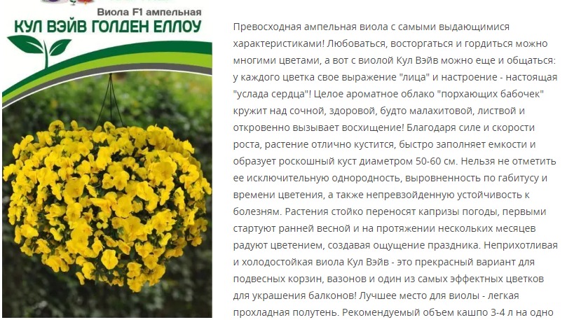 Виола ампельная Кул Вэйв Голден Еллоу F1 (1 упаковка - 5 шт.)
