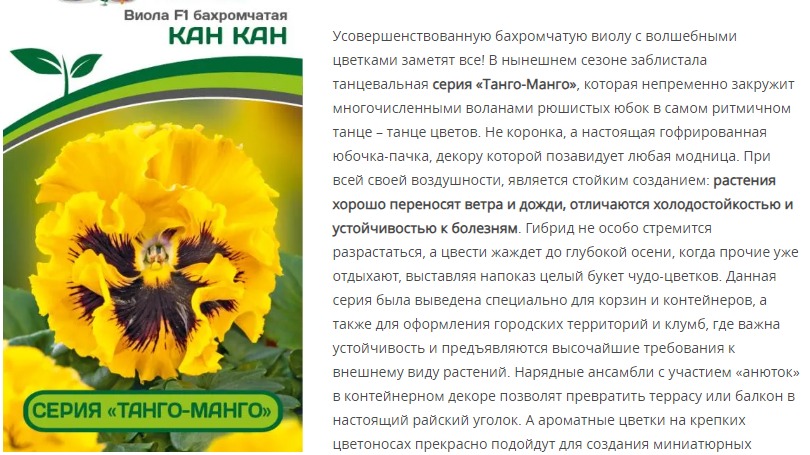 Виола бахромчатая "Танго-Манго" Кан-Кан F1 (1 упаковка - 10 шт.)