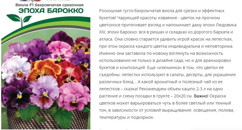 Виола бахромчатая срезочная Эпоха Барокко F1 (1 упаковка - 10 шт.)