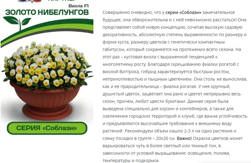 Виола "Соблазн" Золото Нибелунгов F1 (1 упаковка - 10 шт.)