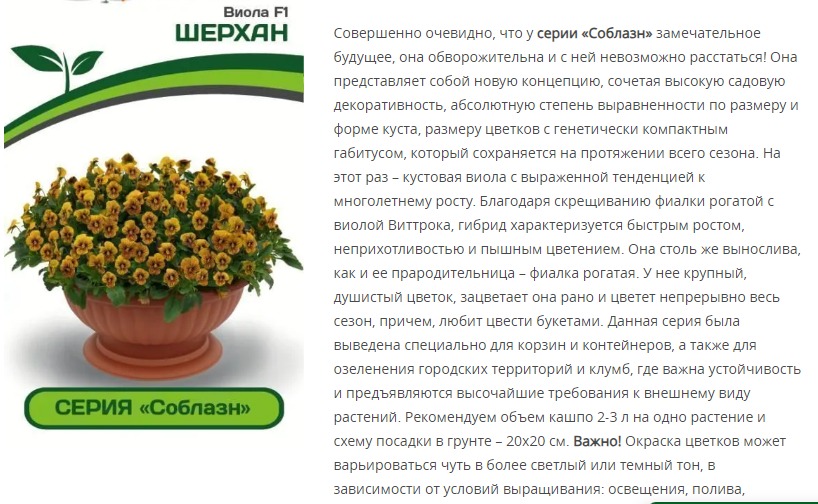 Виола "Соблазн" Шерхан F1 (1 упаковка - 10 шт.)
