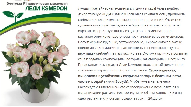 Эустома F1 карликовая махровая розовая пикоти Леди Кэмерон (1 упаковка - 5 шт.)