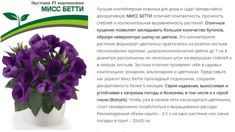 Эустома F1 карликовая синяя Мисс Бетти (1 упаковка - 5 шт.)