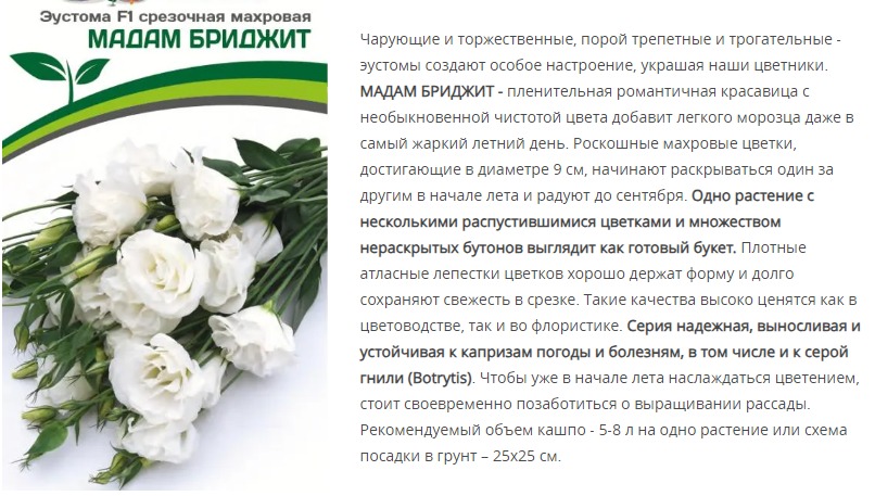 Эустома F1 срезочная махровая белоснежная Мадам Бриджит (1 упаковка - 5 шт.)