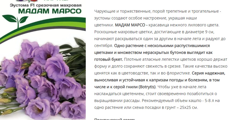 Эустома F1 срезочная махровая лиловая Мадам Марсо (1 упаковка - 5 шт.)