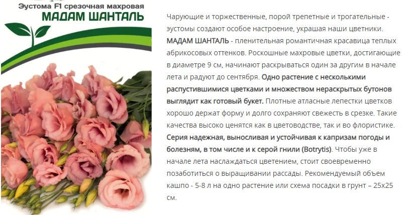 Эустома F1 срезочная махровая абрикосовая Мадам Шанталь (1 упаковка - 5 шт.)