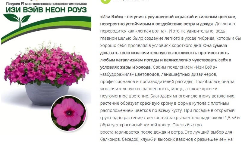 Петуния "Изи Вэйв" Неон Роуз F1 каскадно-ампельная  (1 упаковка - 5 шт.)