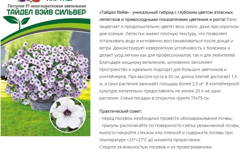 Петуния  "Тайдел Вэйв" Сильвер F1 многоцветковая ампельная (1 упаковка - 5 шт.)