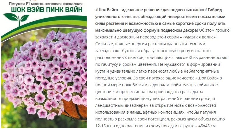 Петуния  "Шок Вэйв" Пинк Вайн F1 многоцветковая каскадная (1 упаковка - 5 шт.)