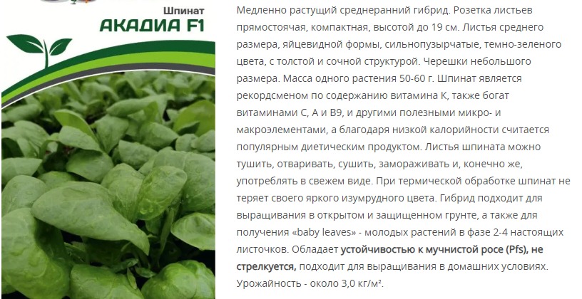 Шпинат Акадиа F1 (1 упаковка - 2 гр.)