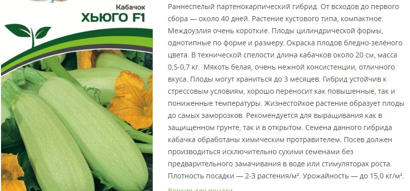 Кабачок Хьюго F1 (1 упаковка - 5 шт.)