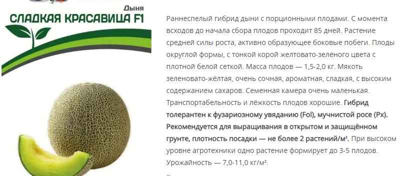 Дыня Сладкая Красавица F1 (1 упаковка - 5 шт.)