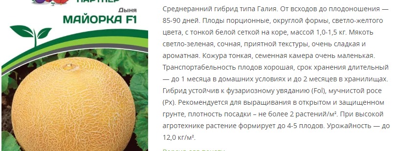 Дыня Майорка F1 (1 упаковка - 5 шт.)