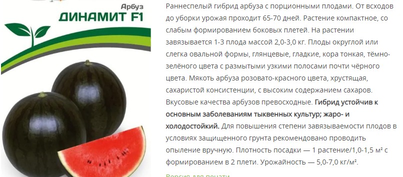 Арбуз Динамит F1 (1 упаковка - 5 шт)