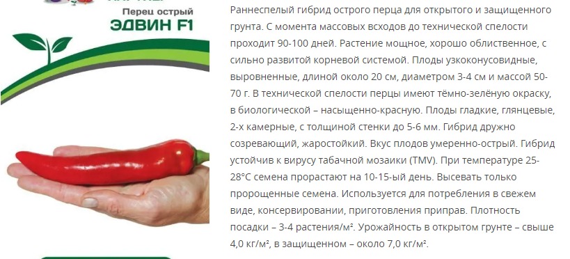 Перец острый Эдвин F1 (1 упаковка - 5 шт.)